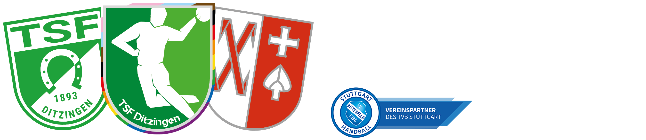 (c) Tsf-ditzingen-handball.de
